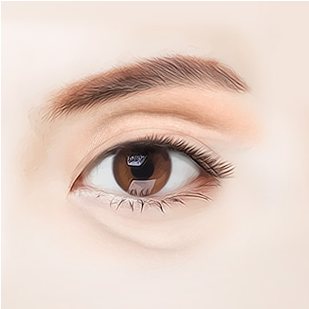 안구 돌출/함몰 정도 분석 도식