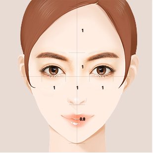 얼굴 비례 분석 도식